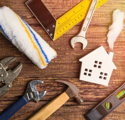 domestic maintenance image